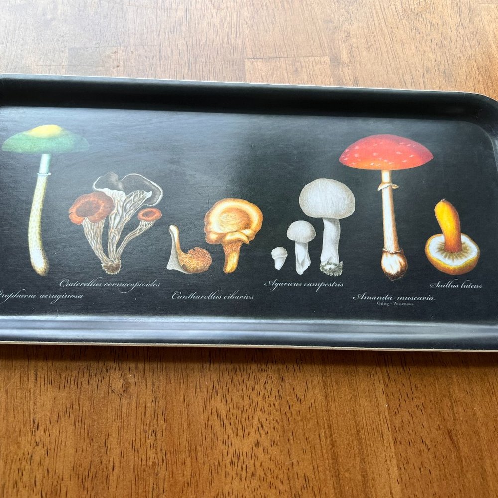 Cottagecore Mushroom Tray